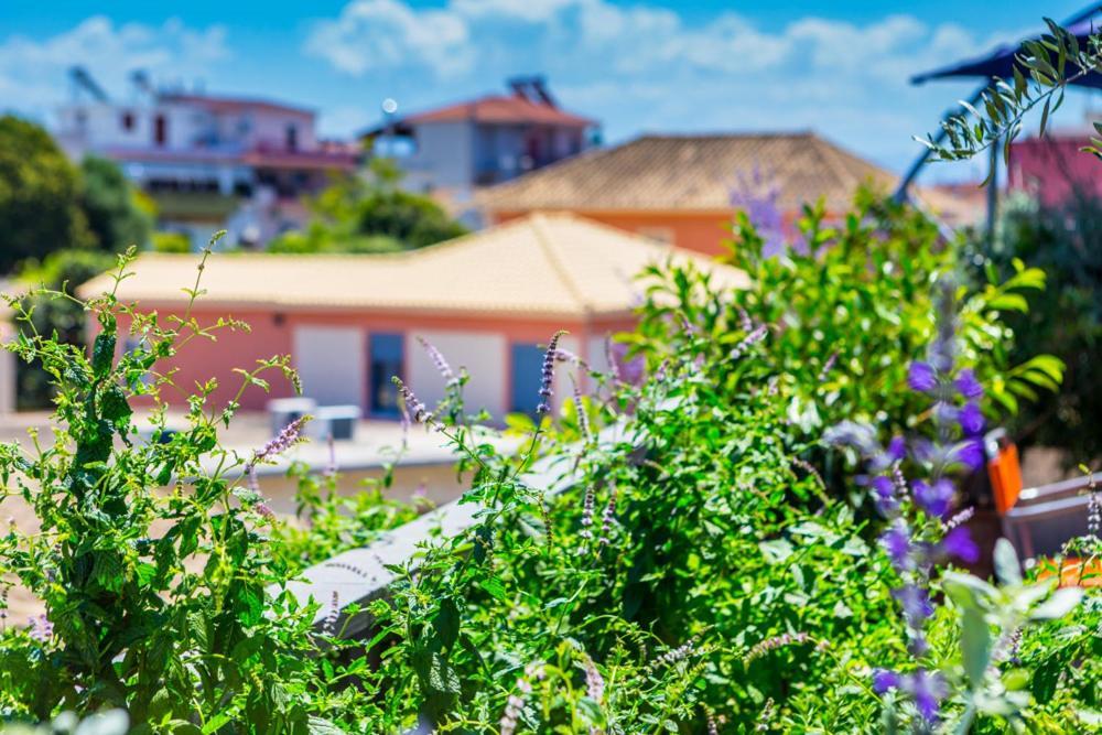 Koukounari Living Spaces Preveza Exterior photo